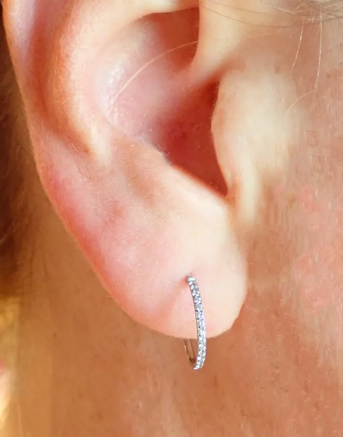 Earrings Titanium simple CZ Hoop Earrings Body Clickers Body Jewelry Earrings Titanium simple CZ Hoop Earrings Body Clickers Body Jewelry