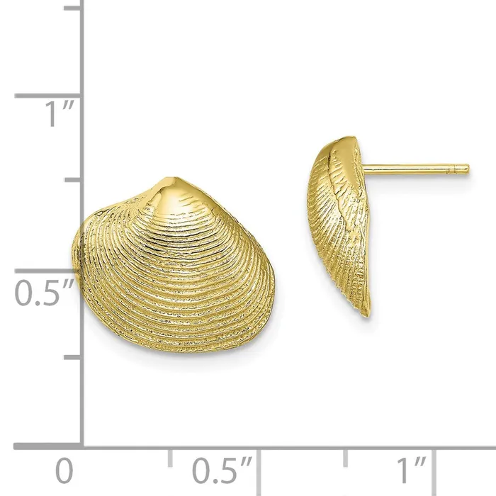 Earrings WB Choice Jewelry 10K Clam Shell Post EarringsWBC10TE786 Earrings WB Choice Jewelry 10K Clam Shell Post EarringsWBC10TE786